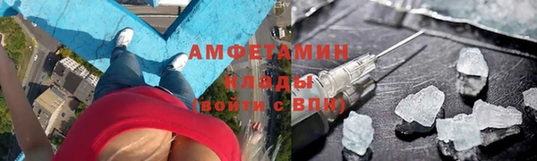 прущие грибы Абинск