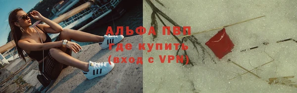 прущие грибы Абинск