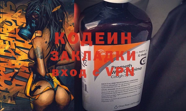 прущие грибы Абинск