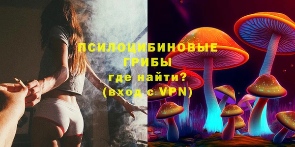 прущие грибы Абинск
