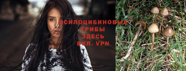 mdpv Абаза