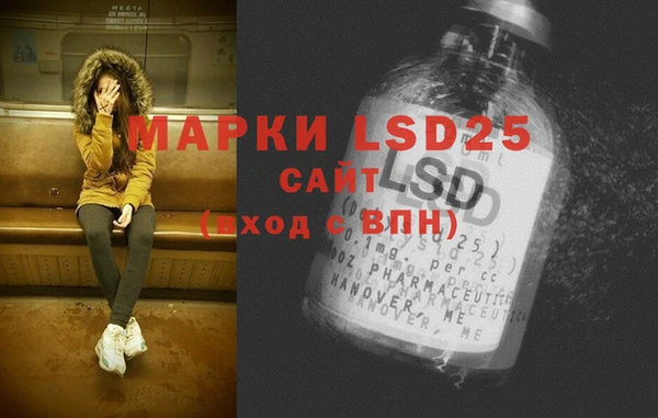 прущие грибы Абинск