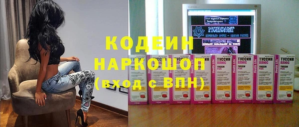 прущие грибы Абинск