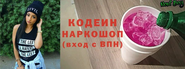 прущие грибы Абинск