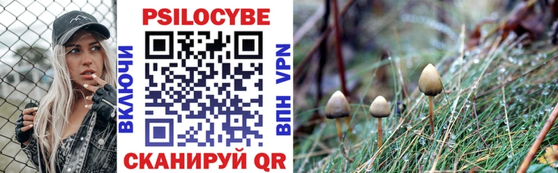 Псилоцибиновые грибы ЛСД Иноземцево